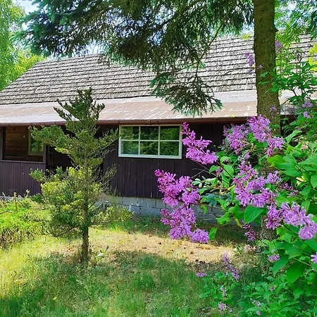 Chaty, Niebieskie Drzwi Dom wakacyjny *